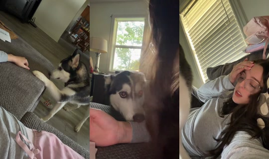 1kaitlynrose's Stream - Aug 7, 2026, 12:03 AM