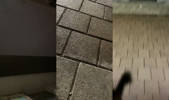 2u0s__'s Stream - Jul 14, 2026, 4:08 PM