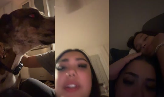 _ally.gonzalez_'s Stream - Sep 22, 2026, 4:50 AM