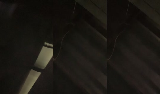 _dao77's Stream - Jul 25, 2026, 9:14 AM