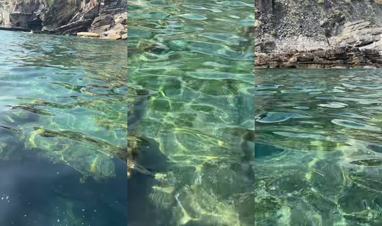 _eugesofi__'s Stream - Jul 23, 2026, 2:21 PM