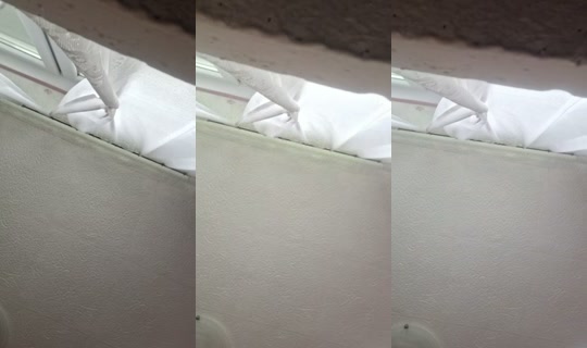 _kira.lovki_'s Stream - Jul 15, 2026, 9:22 AM