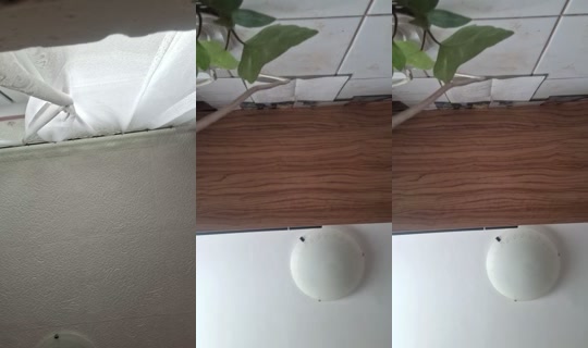 _kira.lovki_'s Stream - Jul 15, 2026, 11:11 AM