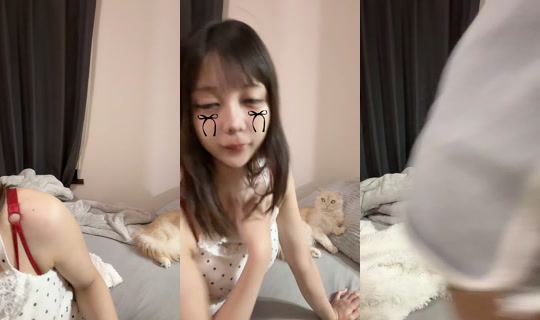 _nekopanchu's Stream - Aug 5, 2026, 11:30 AM