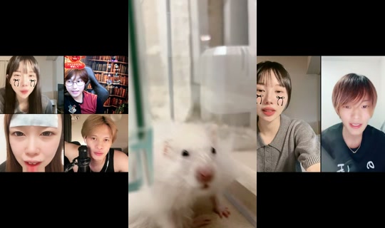 _o15__u's Stream - Jul 23, 2026, 2:00 PM