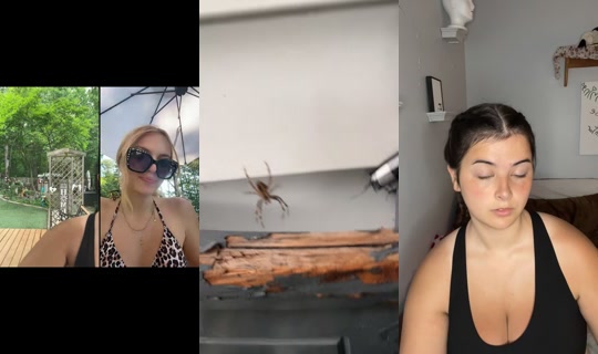 _ruth_kimberly_'s Stream - Jul 15, 2026, 8:49 PM