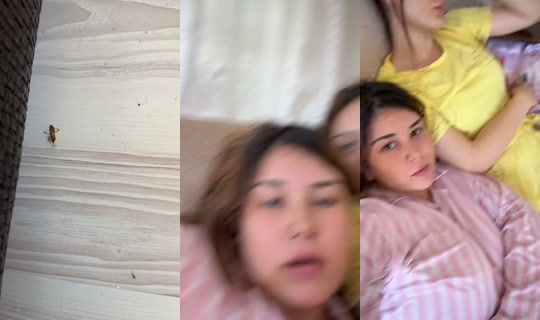 _sevvalya's Stream - Aug 10, 2026, 4:01 AM
