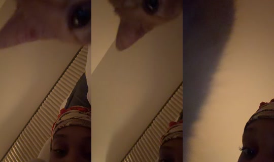 _shaniarenee Recorded on Oct 24, 2026, 8:05 AM
