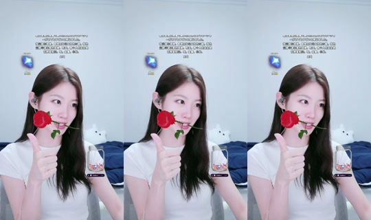 _soyu0024's Stream - Jul 29, 2026, 1:10 PM