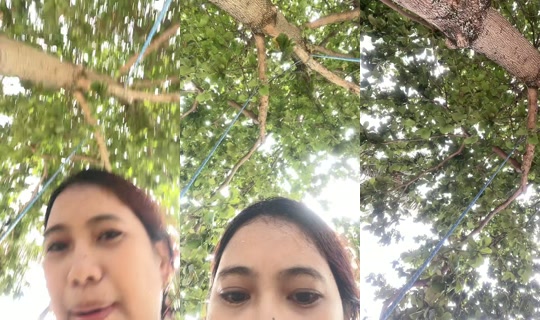 _sydsyed's Stream - Jul 18, 2026, 6:39 AM