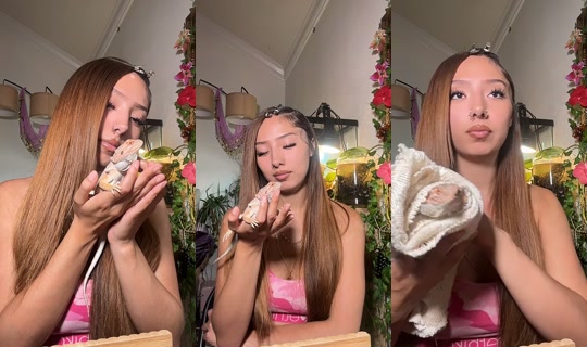 _the_harajuku_brat_'s Stream - Jul 27, 2026, 3:50 AM