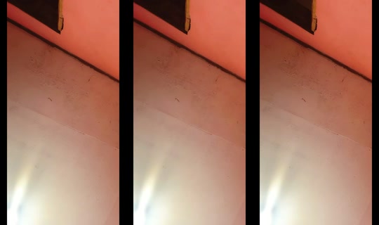 aa.09.99's Stream - Jul 20, 2026, 3:02 AM