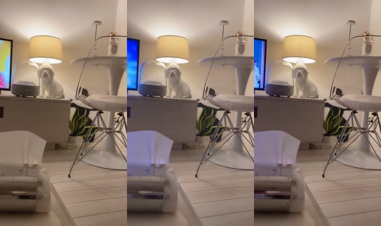 aaaaaaoooi's Stream - Aug 7, 2026, 4:43 PM