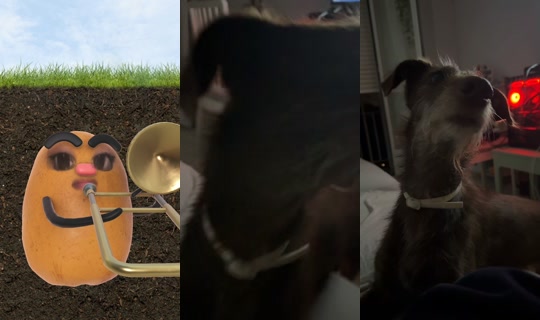 aanahx_'s Stream - Jul 26, 2026, 10:02 PM