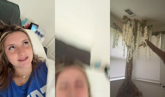 abbycarbonette's Stream - Jul 15, 2026, 4:46 PM