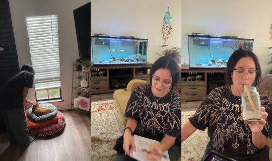 alic3nwndrlnd1's Stream - Sep 20, 2026, 8:37 PM