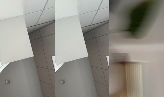 alilinaavx's Stream - Aug 6, 2026, 5:33 AM