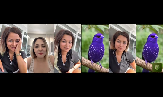 alimranalya's Stream - Jul 31, 2026, 7:06 AM