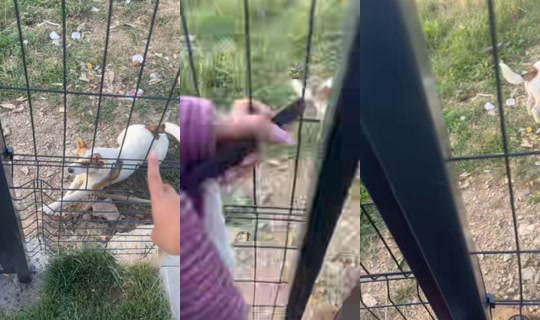 alisaa.avv's Stream - Aug 19, 2026, 4:37 AM