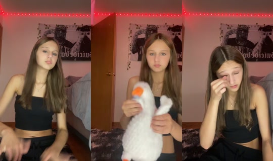 allyborrmann's Stream - Aug 4, 2026, 2:05 AM