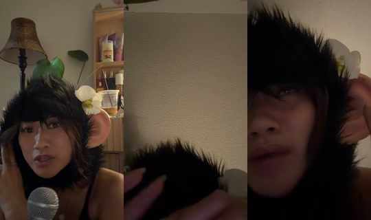 almondandthechipmunks's Stream - Jul 22, 2026, 8:17 AM