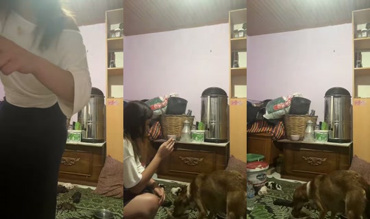 alyena080's Stream - Aug 8, 2026, 5:21 PM