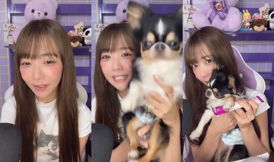amau_kisumi's Stream - Aug 7, 2026, 1:47 PM