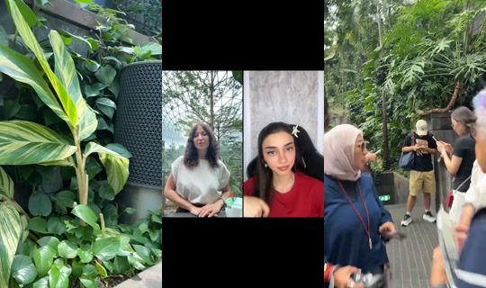 amazonicee's Stream - Jul 24, 2026, 4:55 AM