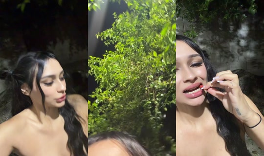 amiisra's Stream - Sep 17, 2026, 5:02 AM