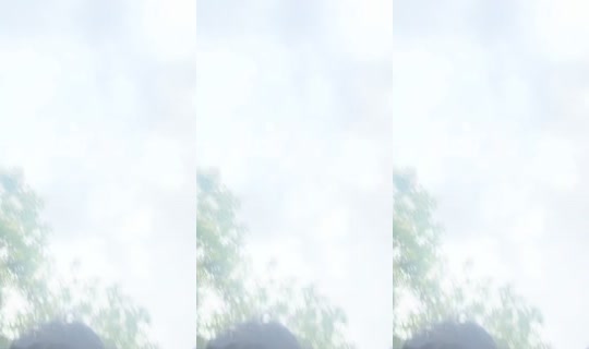 amiliaa.2's Stream - Jul 22, 2026, 2:38 PM