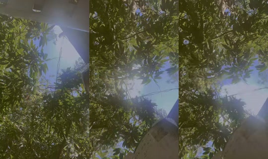 ana.cristina9923's Stream - Aug 8, 2026, 4:28 PM