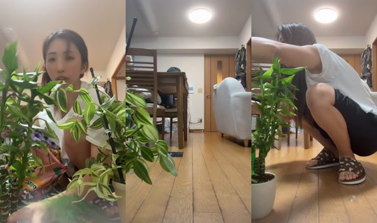apple.01110's Stream - Jul 23, 2026, 11:38 AM