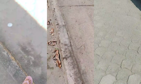arelys.offv's Stream - Oct 13, 2026, 8:32 PM