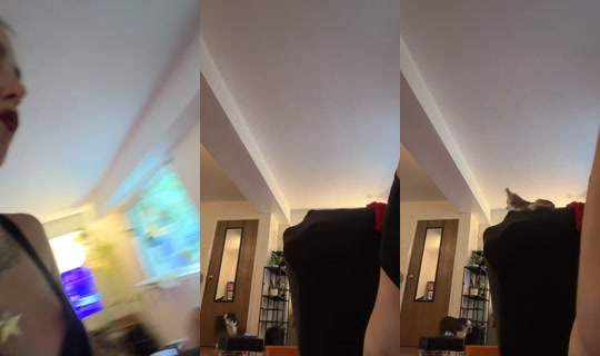 ashhhhhh094's Stream - Jul 20, 2026, 9:45 PM