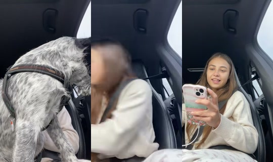 avaawillson's Stream - Aug 2, 2026, 7:49 PM