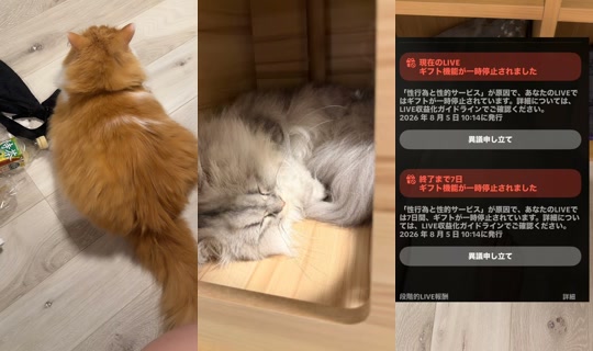 ayakagura_'s Stream - Aug 5, 2026, 12:54 AM