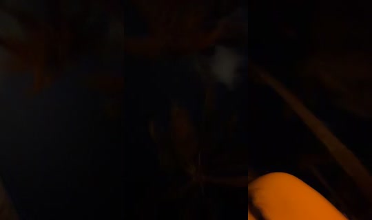 bagchaserxio's Stream - Jul 25, 2026, 3:01 AM