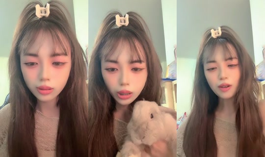 baobeibaojai's Stream - Aug 7, 2026, 11:33 AM