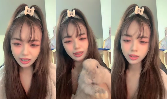 baobeibaojai's Stream - Aug 8, 2026, 11:51 AM