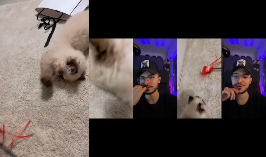 barbiieblondee's Stream - Oct 16, 2026, 12:01 AM