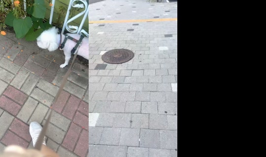 bebebaby19's Stream - Aug 27, 2026, 8:35 AM