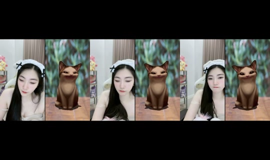 beebee._'s Stream - Jul 29, 2026, 4:56 PM