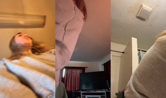 beebeeishereagain's Stream - Aug 4, 2026, 12:31 PM