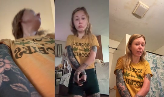 beebeeishereagain's Stream - Aug 8, 2026, 12:21 PM