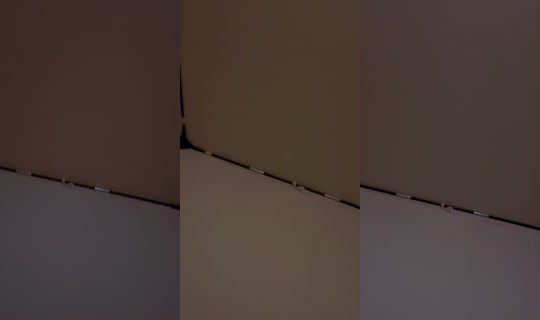 bettercallcassie20's Stream - Aug 3, 2026, 1:36 AM