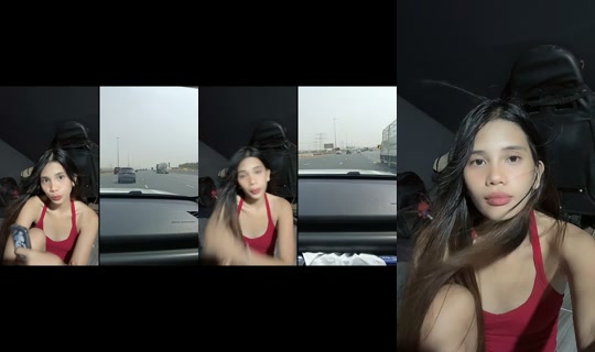 bibsybirds's Stream - Aug 4, 2026, 10:37 AM