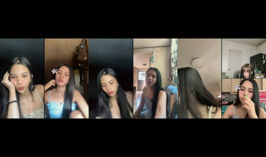 bibsybirds's Stream - Aug 24, 2026, 12:30 AM