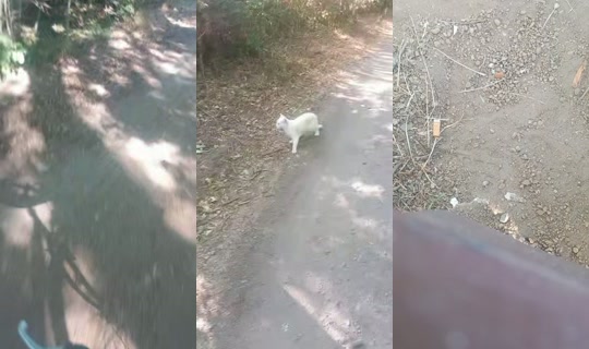 bir..nida's Stream - Aug 8, 2026, 3:51 PM