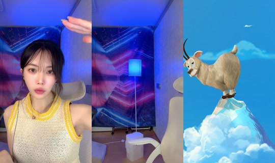 Stream von birdie_ee – 17. Juli 2026, 3:19