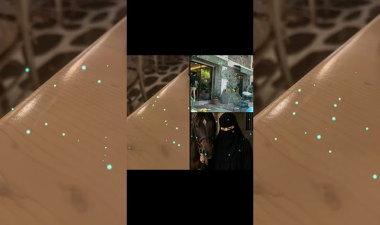 bntalsendi's Stream - Jul 23, 2026, 10:33 PM